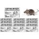  10 PIECE ADHESIVE SLIDE TRAP FOR MICE, INSECTS, SPIDERS, INSECTS, 10 PIECE SET