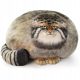 Pillow Cat Pillow Plush Doll Pallas Cat 30*40 cm