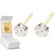  GOLDEN STUD EARRINGS CLASSIC WITH 585 ZIRCON ENGRAVING AS A GIFT FOR A WOMAN