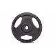  CAST IRON LOAD 10 kg disc plate steering wheel