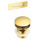 A set of GOLD bathtub accessories – gold plug and overflow cover