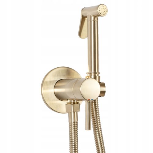 Rea Loop wall-mounted bidet faucet, gold