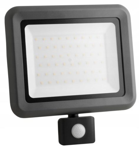 Halogens for outdoor and garden Halogen cold white 6000 lm 50 W