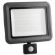 Halogens for outdoor and garden Halogen cold white 6000 lm 50 W