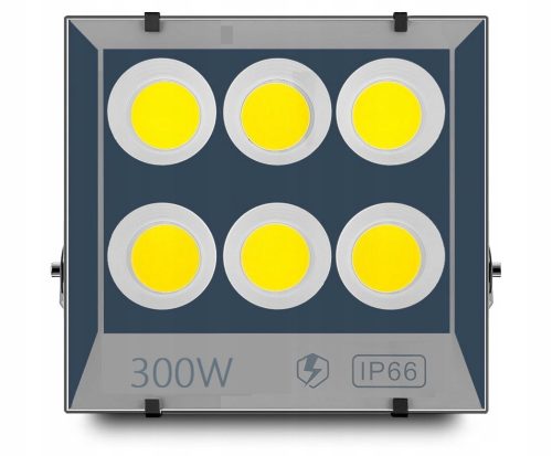 Halogen cold white 30000 lm 300 W