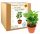 Cool, funny gadgets ARABICA COFFEE coffee tree gift for Grandpa's day, grandma, best grandpa