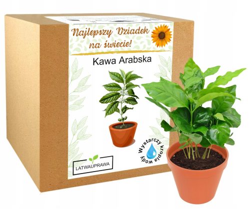 Cool, funny gadgets ARABICA COFFEE coffee tree gift for Grandpa's day, grandma, best grandpa