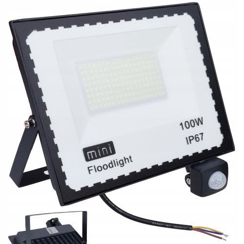 Halogens for outdoor and garden Halogen cold white 7000 lm 100 W