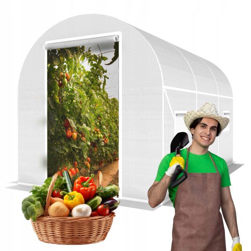 Polytunnel, panneaux en plastique Polytunnel 6 m² 300 x 200 cm blanc