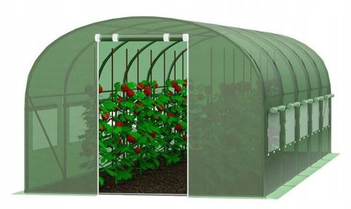 Polytunnel, panneaux en plastique Polytunnel 18 m² 6 x 3 cm vert