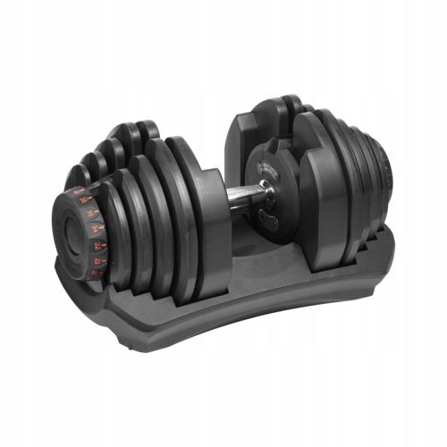  Rebel 40 adjustable cast iron dumbbells