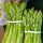  GREEN WHITE ASPARAGUS HYBRID GIJNLIM CARP SEEDS CLASS A 10 pcs