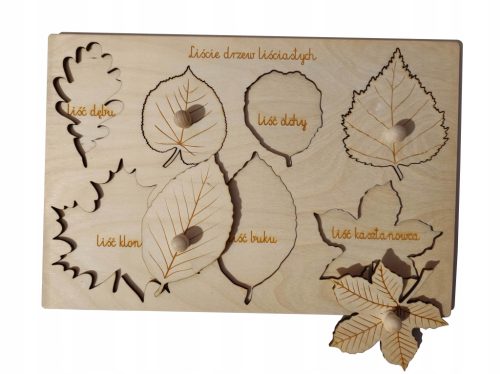  Wooden puzzle leaves natural Montessori educational