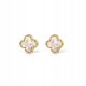  Clover gold plated earrings white mini