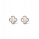  Silver earrings Clover white mini