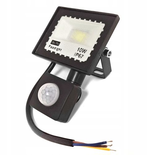 Halogens for outdoor and garden Halogen cold white 700 lm 10 W