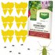 12x POT JAUNE EN VERRE PAPILLON Terre Mouches Insectes