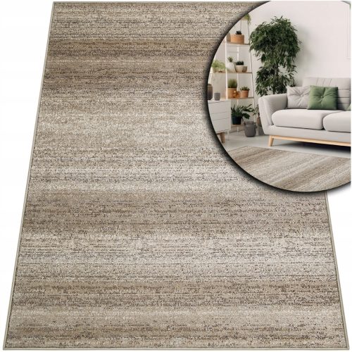  MODERN ADVENTURE CARPET FOR THE LIVING ROOM, BROWN 160x230