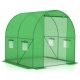 Polytunnel, panneaux en plastique Polytunnel Gockowiak 4 m² 200 x 200 cm vert