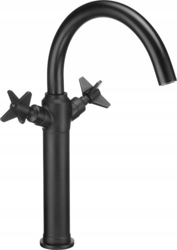 Deante Temisto black standing washbasin mixer