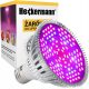 Lamp for plant cultivation - Heckermann 80 W GROW light bulb for plant cultivation