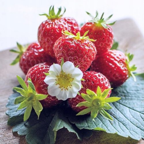  Wild strawberries and strawberries STRAWBERRY REPEATED FRUITING 10 SEEDS bare root seedling 15-30 cm