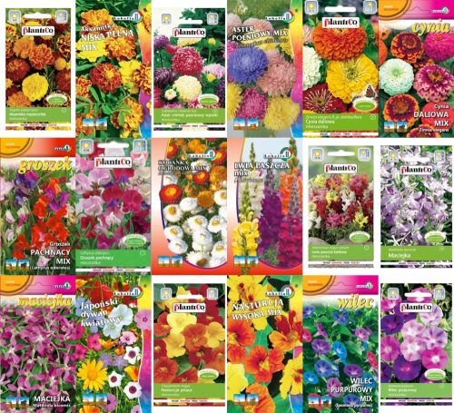  FLOWER SEED COLLECTION set, seeds, 10 packs