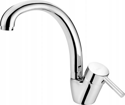 Deante Aster Stand-Kitchen Faucet, Silver