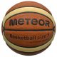 Meteor Cellular Basketball, Size 5