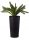  HowHomely flowerpot 57 cm x 29.5 x 57 cm diameter 30 cm plastic black