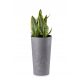  Flowerpot 46.6 x 25.5 cm, gray plastic