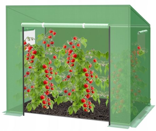 Polytunnel, panneaux en plastique Polytunnel 3,4 m² 200 x 80 cm vert