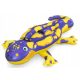 INFLATABLE SALAMANDRA TOY FLOATING MATTRESS 191x119 cm - BESTWAY 41502