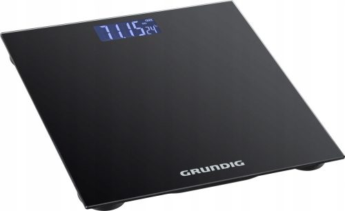 Grundig Passenger Weighing Glass Weighing