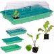 Greenhouses, Mini Greenhouses and Mini Greenhouses 24× Mini Greenhouse 38 cm x 24.5 cm, Plastic