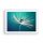 Pictures on the wall Poster in white frame P2WAA70x50-3991 Plants in frame 70 x 50 cm