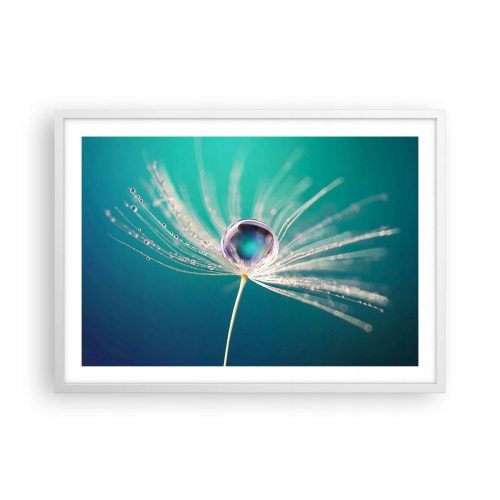 Pictures on the wall Poster in white frame P2WAA70x50-3991 Plants in frame 70 x 50 cm