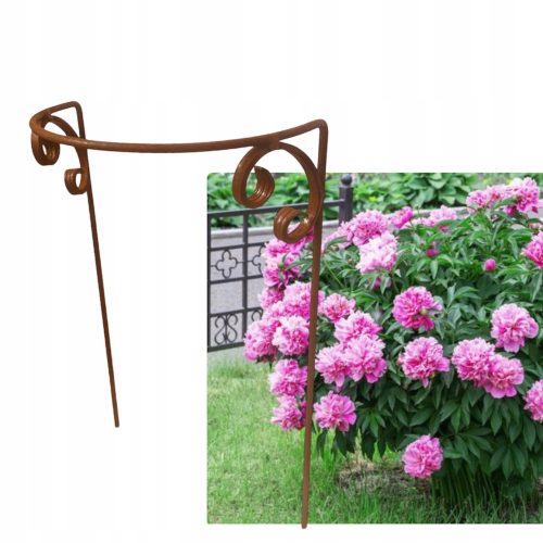  Stylish support for plants, bushes, flowers, PERGOLA, polished, solid, 30/50, 1 pc.