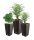  Prosperplast flowerpot 20 cm x 20 x 37.6 cm diameter 20 cm plastic in the colors brown and beige + 2 more products