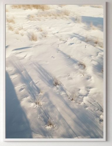 Prints without & with frame. Poster Nature - Tundra landscapes, plants without frame 70 x 100 cm