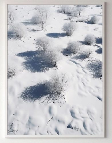 Prints without & with frame. Poster Nature - White grove landscapes, plants without frame 70 x 100 cm