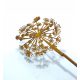  Dandelion flower, rusty Corten garden decoration 013