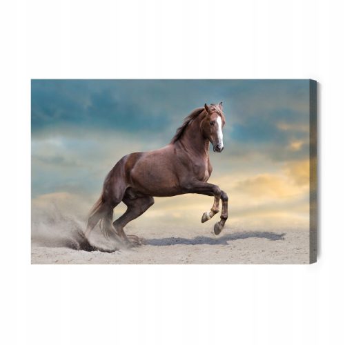 Images sur le mur, tableau Beau cheval sur la plage au coucher du soleil 100 x 70 cm