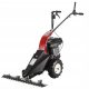  Petrol lawn mower without basket Favorit 196 cm³ capacity. Basket 0 l (dm³) l, cutting width 87 cm