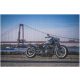  Fun and Stress Relief Harley Motorcycle Puzzle 1000 PCS