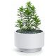  Prosperplast flowerpot 29.8 cm x 29.8 x 19 cm diameter 29.8 cm plastic white