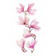  Wall stickers, mirrors, furniture, flowers, flowers, self-adhesive magnolia