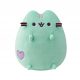  PUSHEEN MINT with a heart mascot 19cm HAPPY