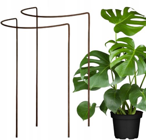  2× Support for bushes, flowers, plants Pergola D40 H60cm single semicircular