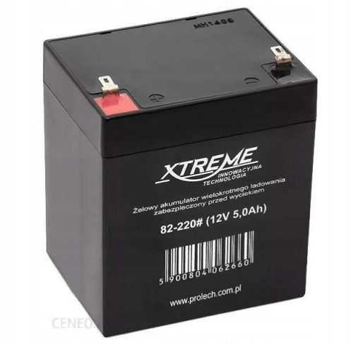  AGM-GEL BATTERY 12V 5AH, maintenance-free for cars